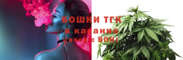 гидра Белокуриха