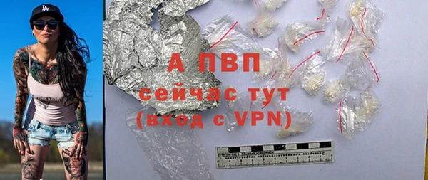 гидра Белокуриха