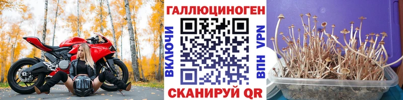 Галлюциногенные грибы ЛСД  сколько стоит  Кстово 